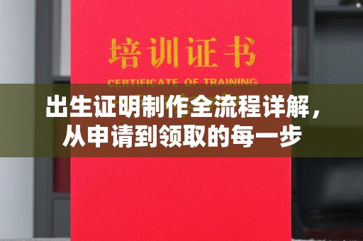宁远出生证明制作全流程详解，从申请到领取的每一步