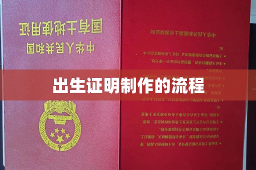 东山出生证明制作的流程